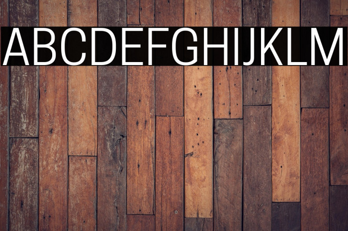 Tanohe Sans Example 2