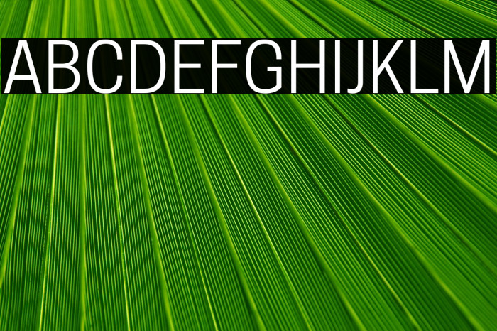 Tanohe Sans Example 3