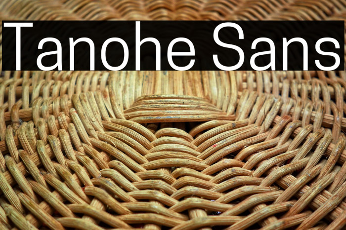 Tanohe Sans Example 2