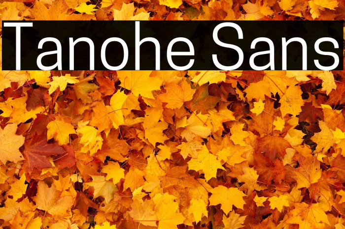 Tanohe Sans Example 3