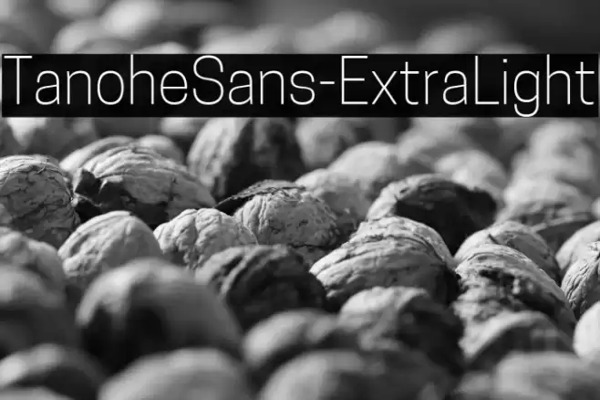 TanoheSans-ExtraLight Font examples