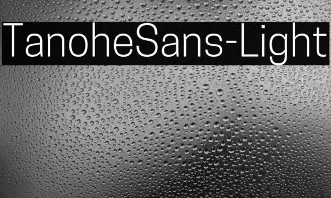 TanoheSans-Light Font examples