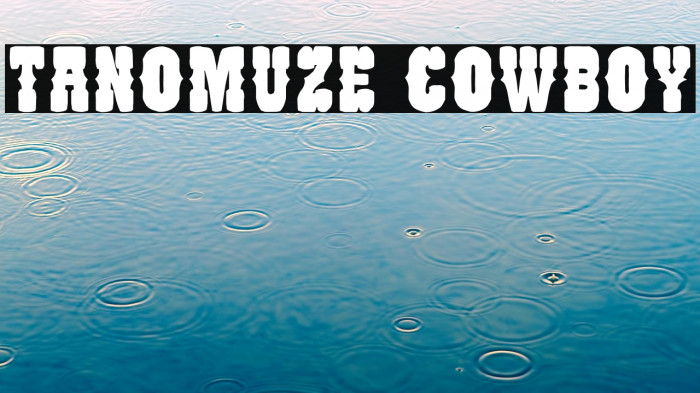 Tanomuze Cowboy Example 2