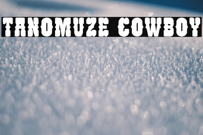 Tanomuze Cowboy Example 3