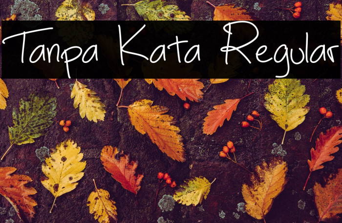 Tanpa Kata Regular Example 1