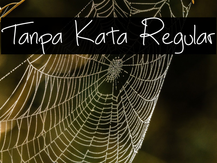 Tanpa Kata Regular Example 3