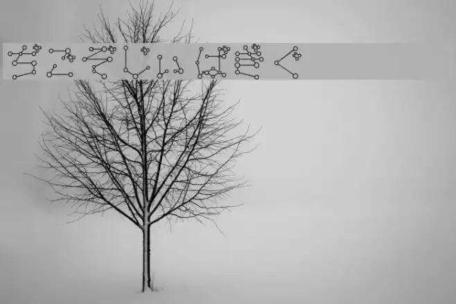 TansanHir Font examples