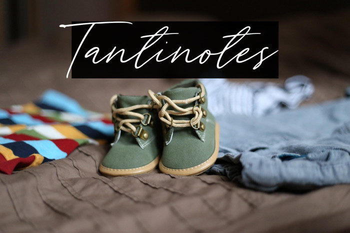 Tantinotes Example 1