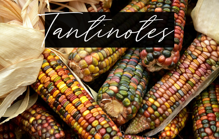 Tantinotes Example 2