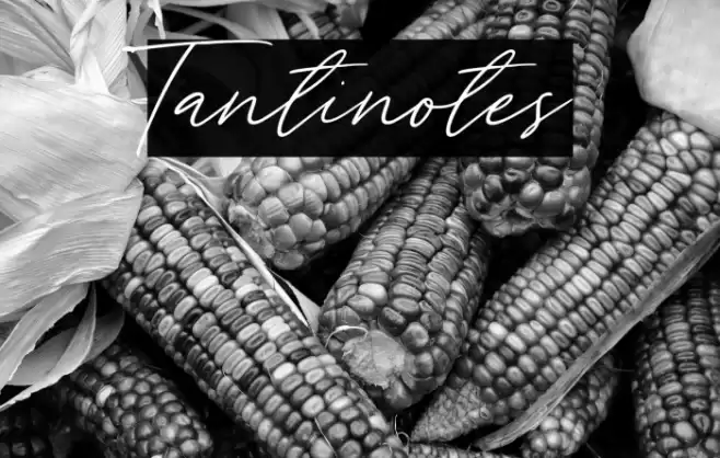 Tantinotes Font examples