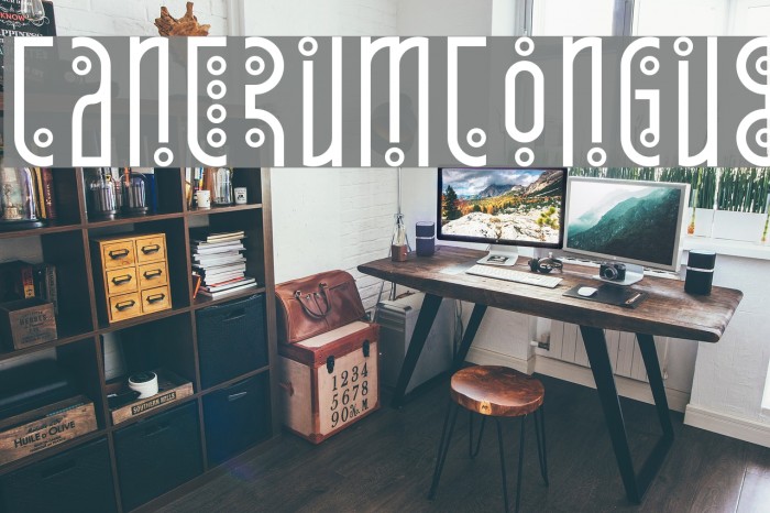 Tantrum Tongue Font examples