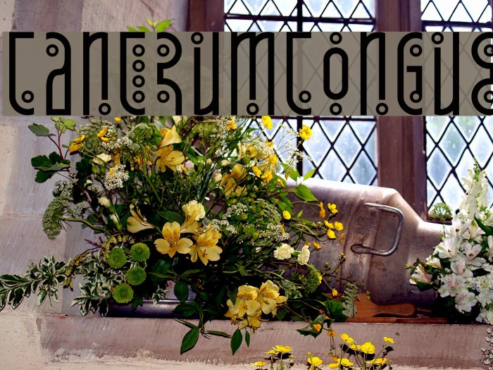 Tantrum Tongue Font examples