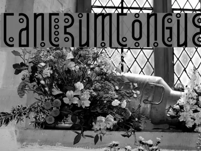 Tantrum Tongue Font examples