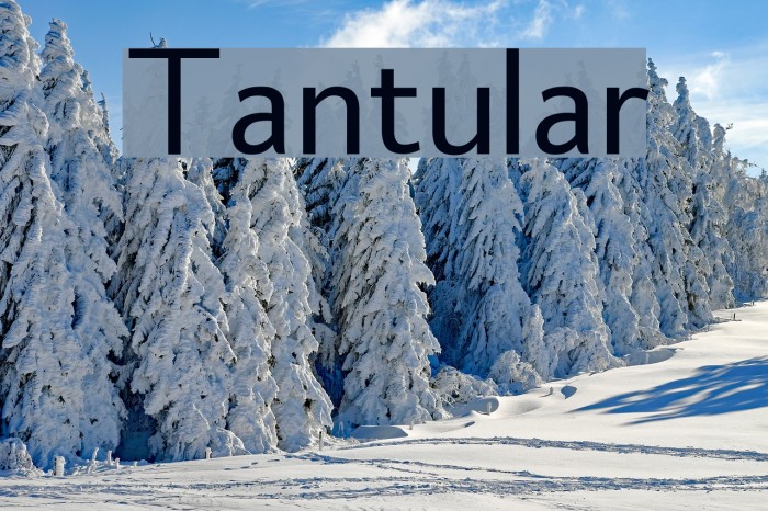 Tantular Font examples
