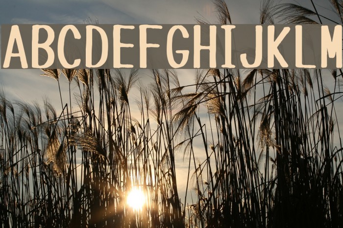 Tanuki Permanent Marker Example 1