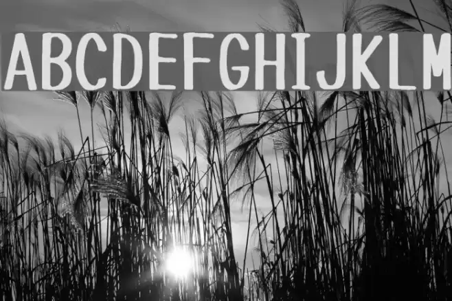 Tanuki Permanent Marker Font examples