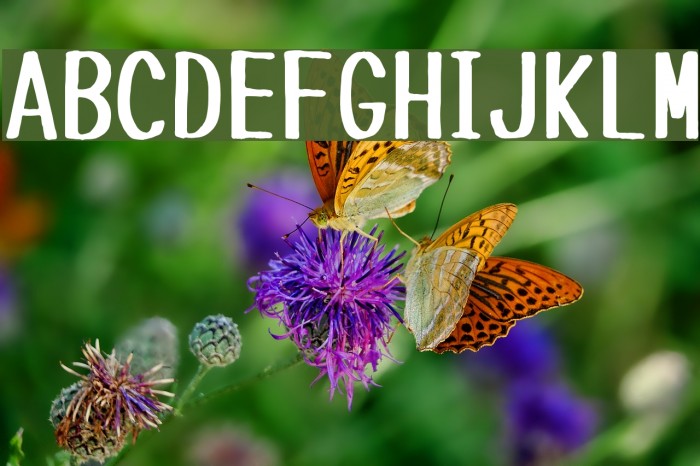 Tanuki Permanent Marker Example 2