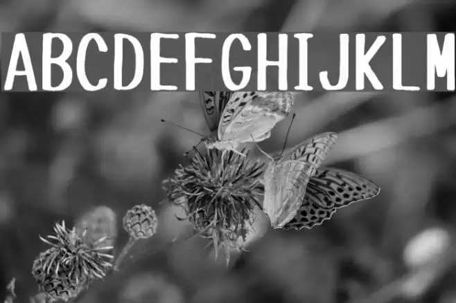 Tanuki Permanent Marker Font examples