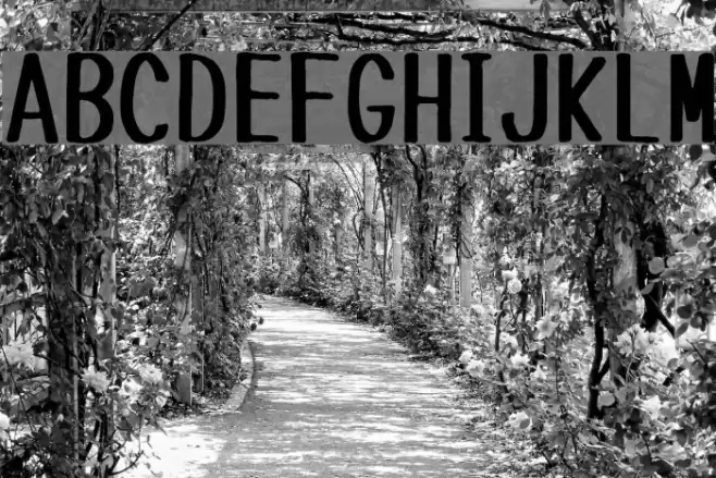 Tanuki Permanent Marker Font examples