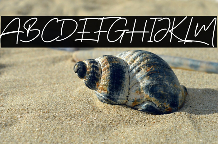 Tanya Hati Example 3