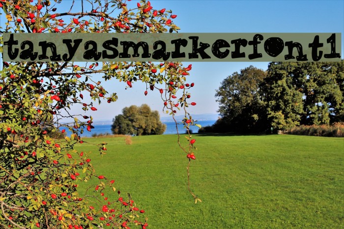 TanyasMarkerFont1 Example 2