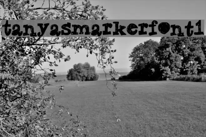 TanyasMarkerFont1 Font examples