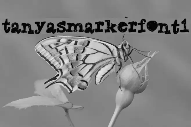 TanyasMarkerFont1 Font examples