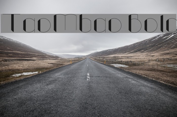 TaoMbao Bold Font examples