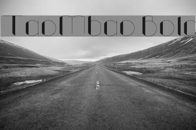 TaoMbao Bold Font examples