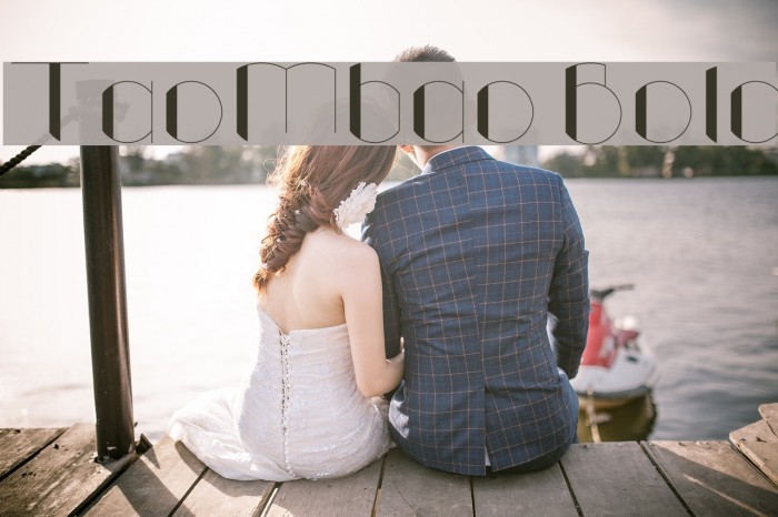 TaoMbao Bold Font examples