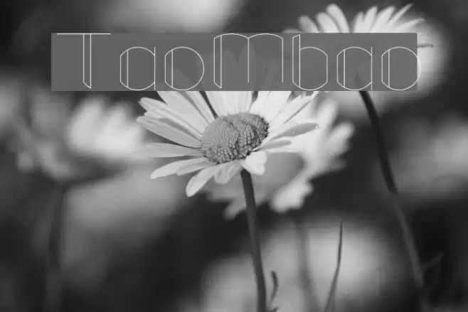 TaoMbao Font examples