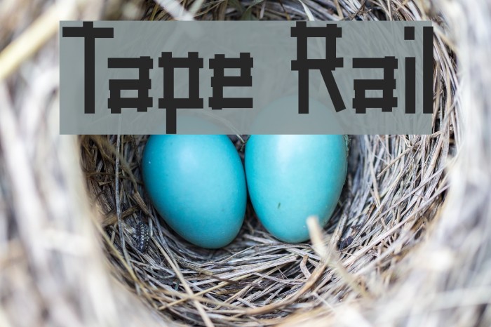 Tape Rail Font examples