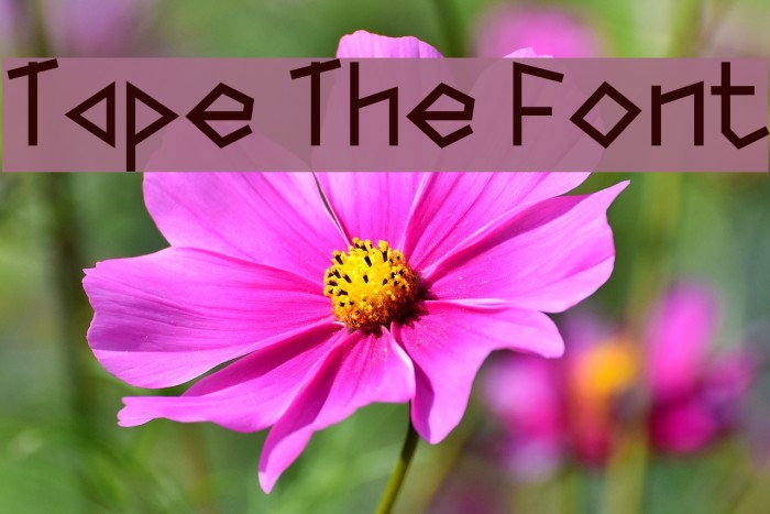 Tape The Font Example 2