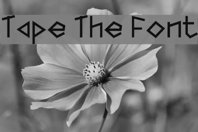 Tape The Font Font examples