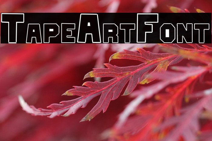TapeArtFont Example 1