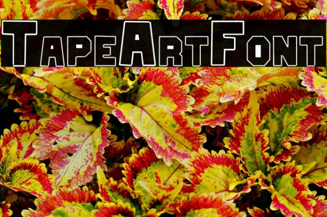 TapeArtFont Example 3