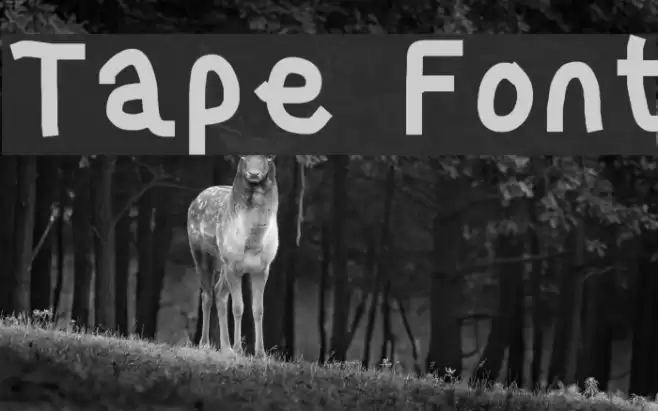 Tape Font examples