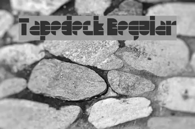 Tapedeck Regular Font examples