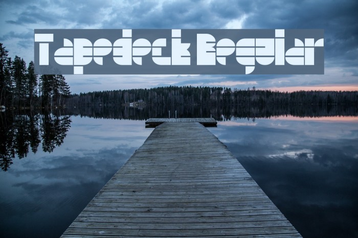 Tapedeck Regular Example 2