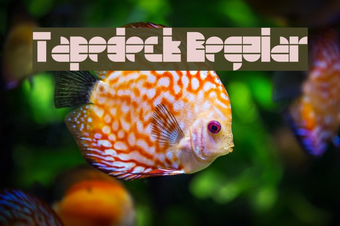 Tapedeck Regular Example 3