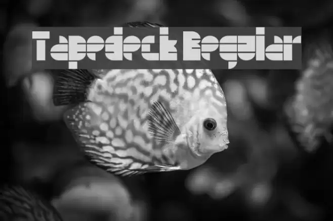 Tapedeck Regular Font examples