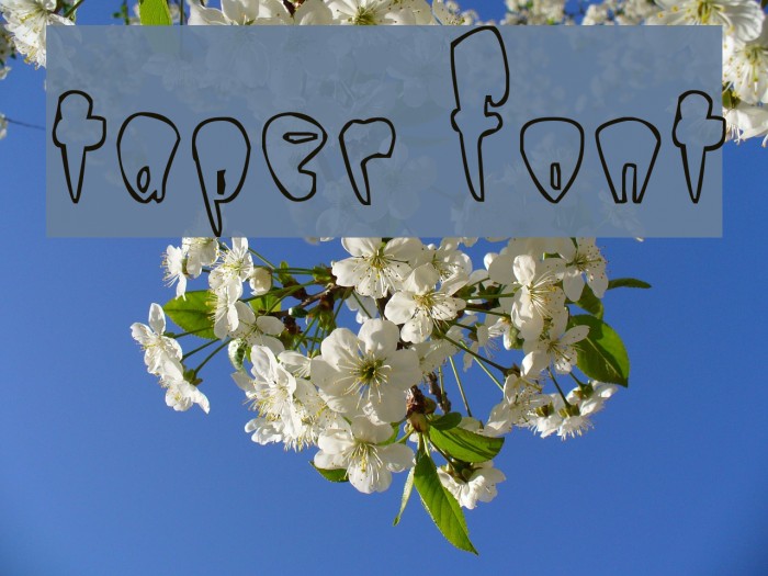 Taper Font examples
