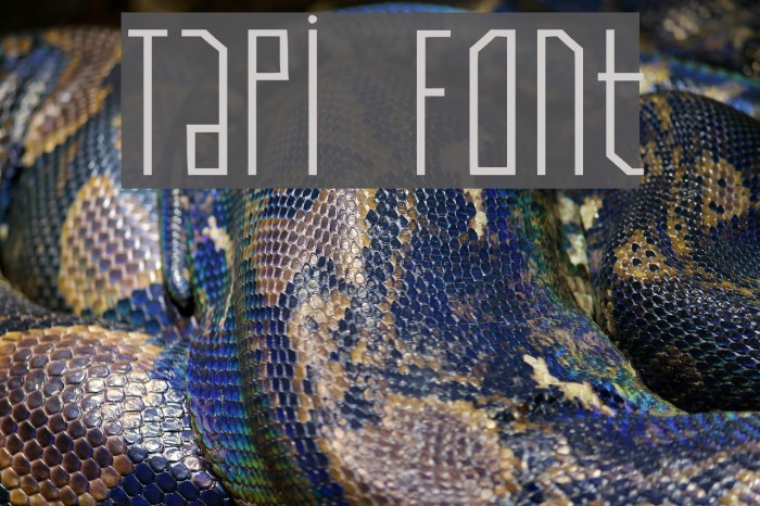 Tapi Font examples