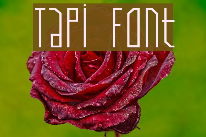 Tapi Font examples