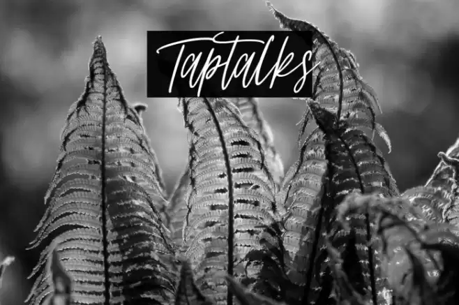 Taptalks 字体 examples