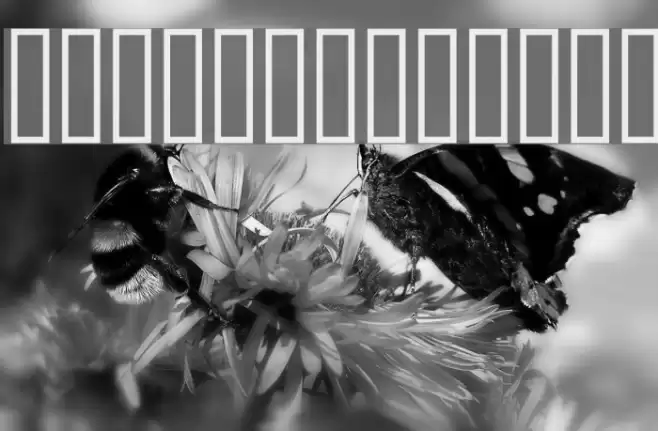 Taques au gogo Font examples