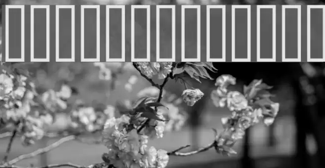 Taques au gogo Font examples