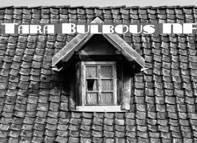 Tara Bulbous NF Font examples