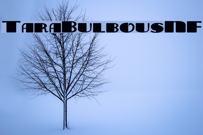 TaraBulbousNF Font examples