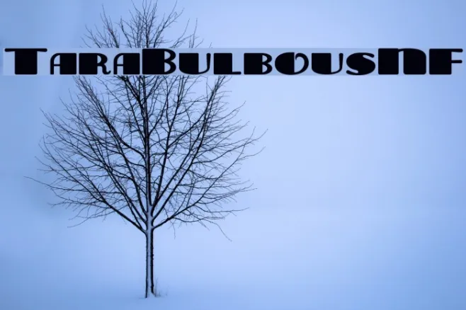 TaraBulbousNF Example 1